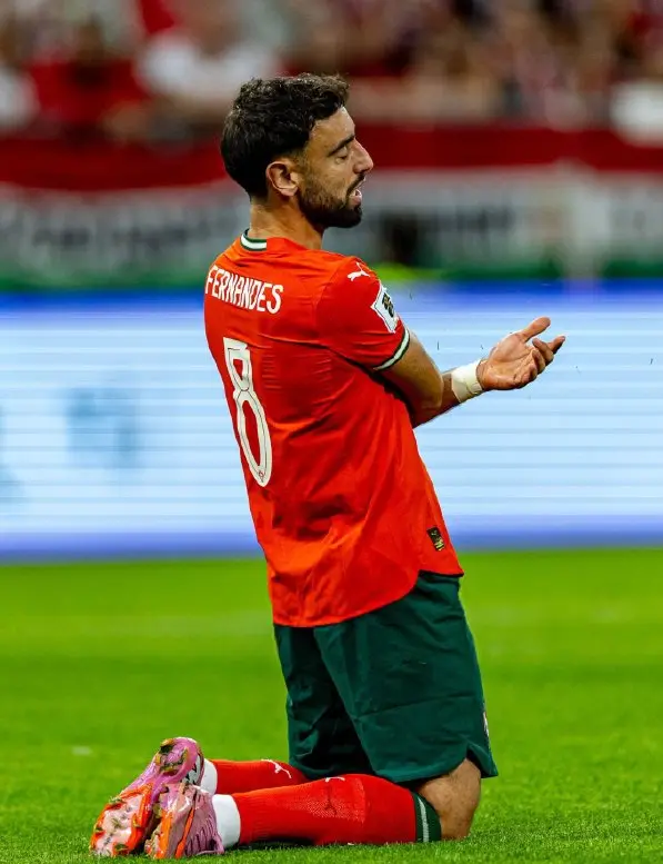 世预赛两连, 匈牙利, 了潮水一般